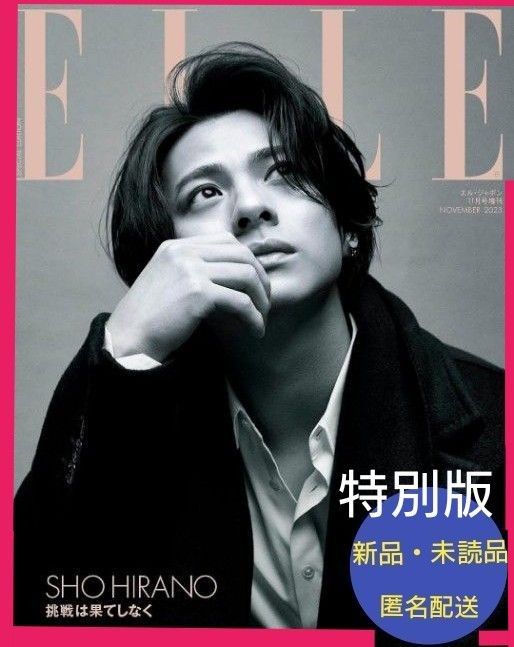 【値下げ！】ELLE JAPON　(エル・ジャポン)　 2023年 11月号増刊　平野紫耀　特別版