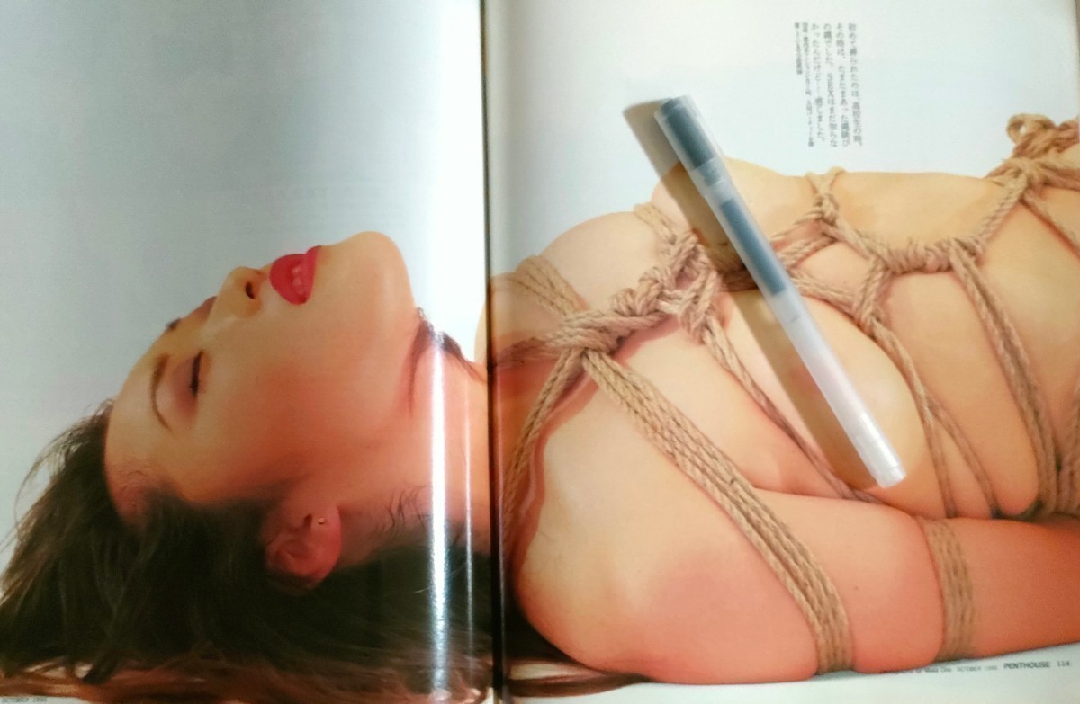 PENTHOUSE日本版 ペントハウス1995年10月号 原寸美女図鑑 坂木優子 Theヌード 双子の迷宮 松本ちえ子 西野悦子 岩崎静子 野本美穂 講談社_画像9