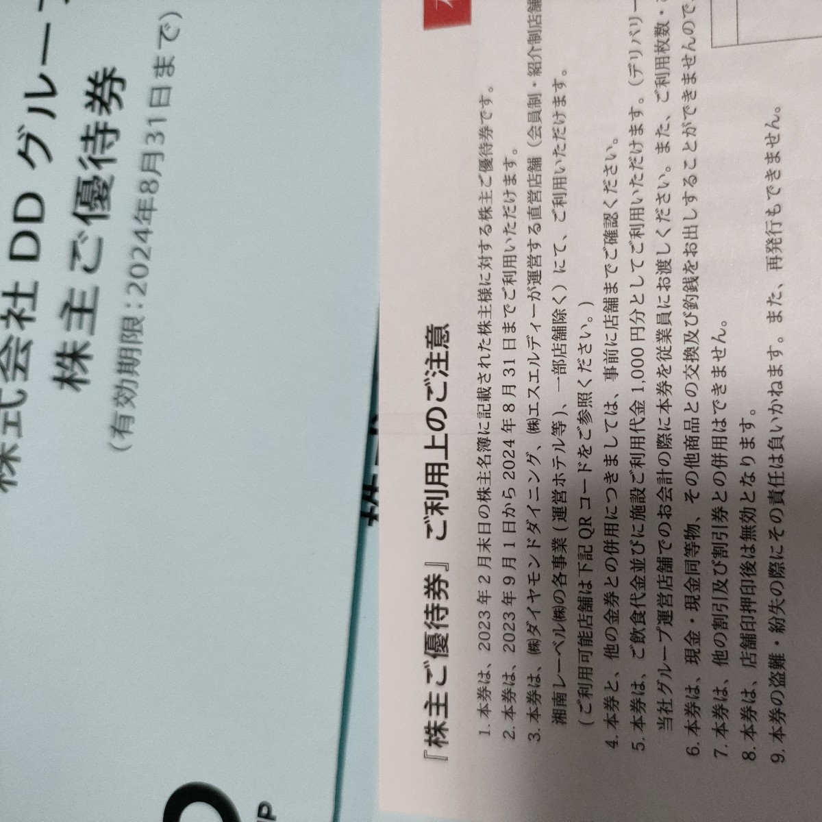 株式会社DDグループ 株主優待券　1000円×12枚　12000円分 2024年8月31日まで 株主優待 BAGUS バグース_画像3