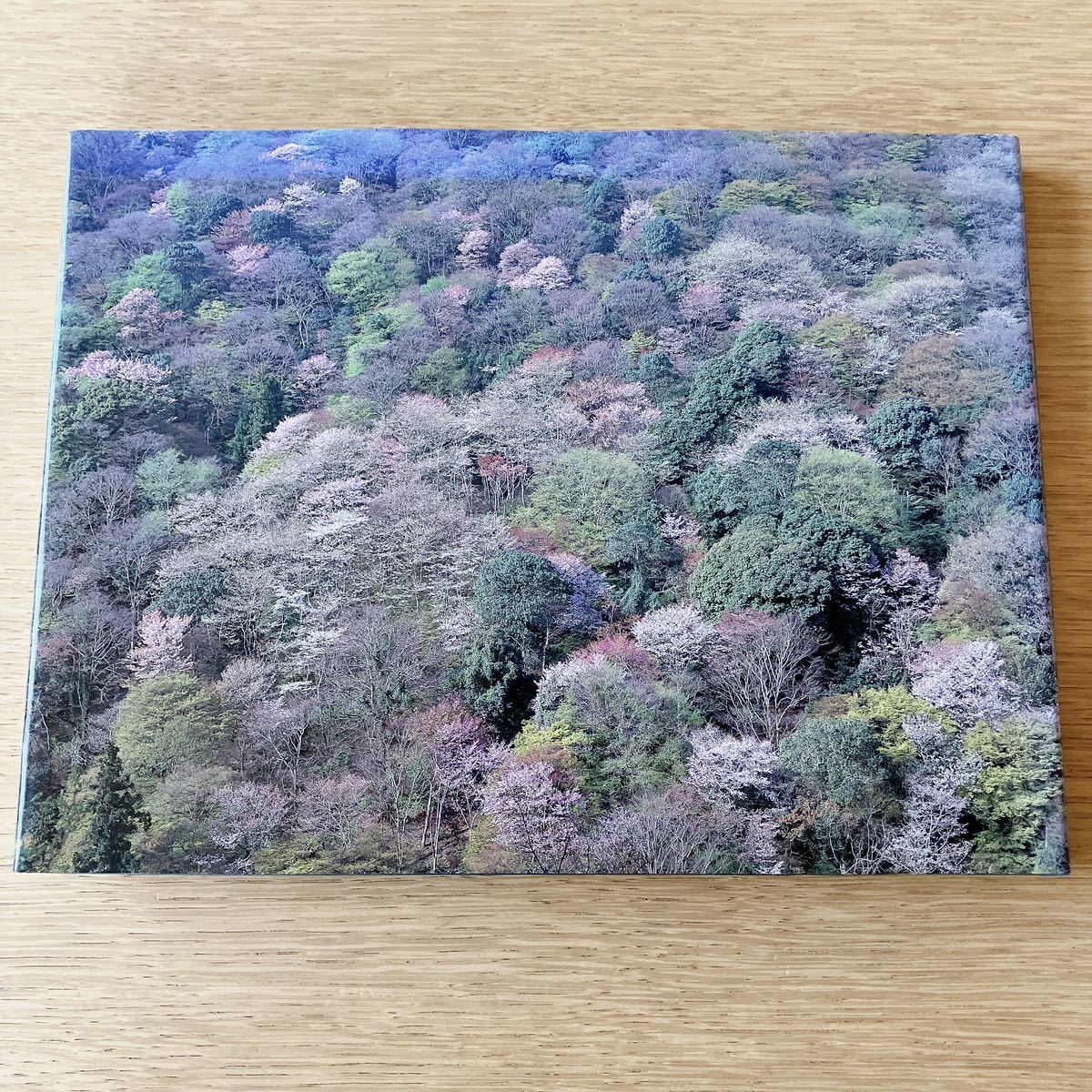 写真集 桜巨木巡礼 佐々木善昭 風景 景色 日本 サイン付き サイン本_画像2