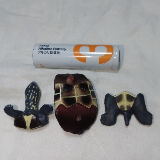 クサガメ　フルタ　チョコエッグ　日本の動物コレクション　第1弾　箱付き　送料込み_画像5