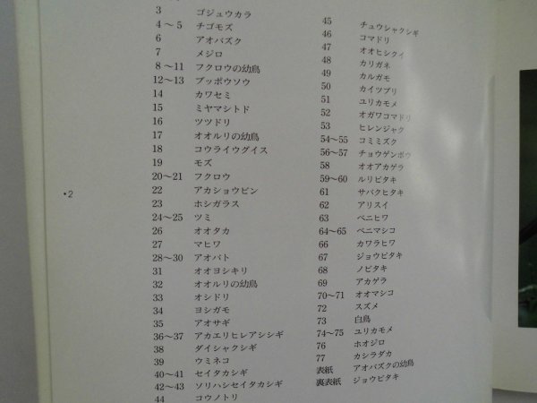 ラブリーバード　PART2　高橋喜代治写真集　身近な自然の　1996年第1版　労働教育センター_画像2