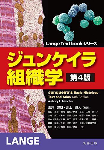 [A01428536]ジュンケイラ組織学 第4版 (Lange Textbookシリーズ) Anthony L. Mescher、 坂井 建雄; 川上_画像1