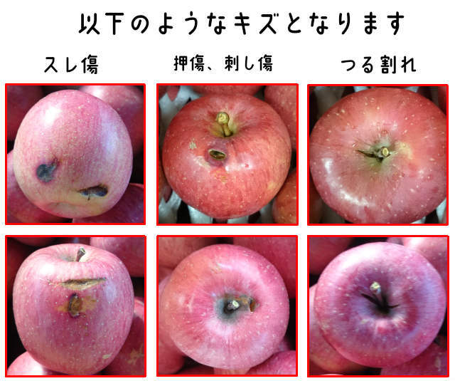 青森りんご訳ありサンふじ15キロ前後モールド詰め1円～_画像3