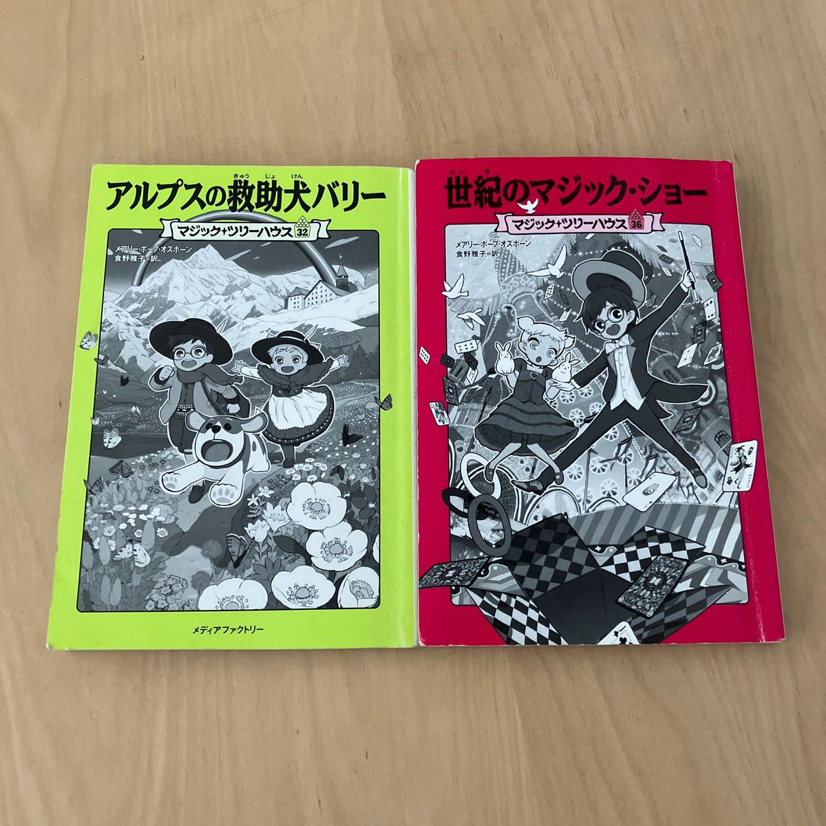 マジックツリーハウス アルプスの救助犬バリー、世紀のマジック・ショー