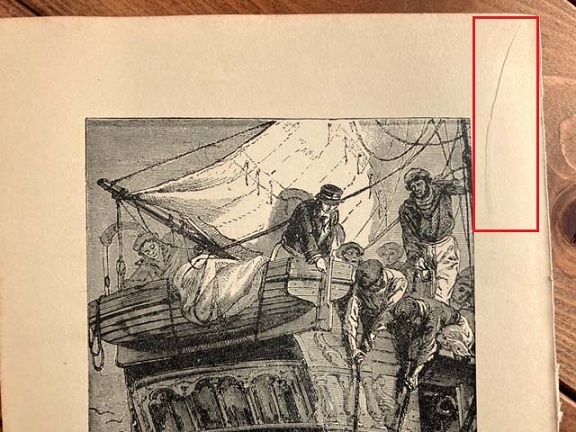 1880年代　アンティークプリント　イギリス　サメ漁　シャーク　帆船　海　魚類_画像3