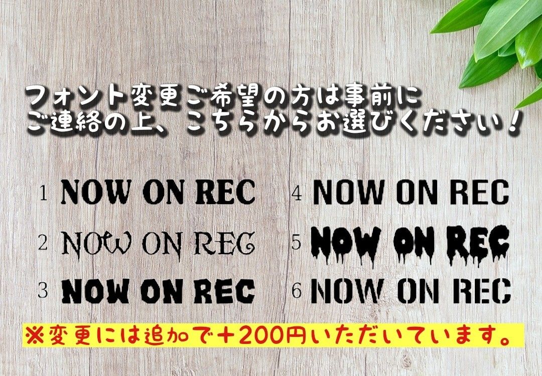 ホンダ　N-BOX カッティングステッカー　ドライブレコーダー　HONDA　アウトドア　シール