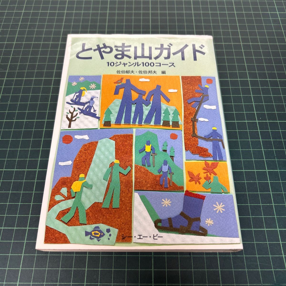 とやま山ガイド 10ジャンル100コース 佐伯郁夫・佐伯邦夫（編） 1996年 初版 ガイドブック_画像1