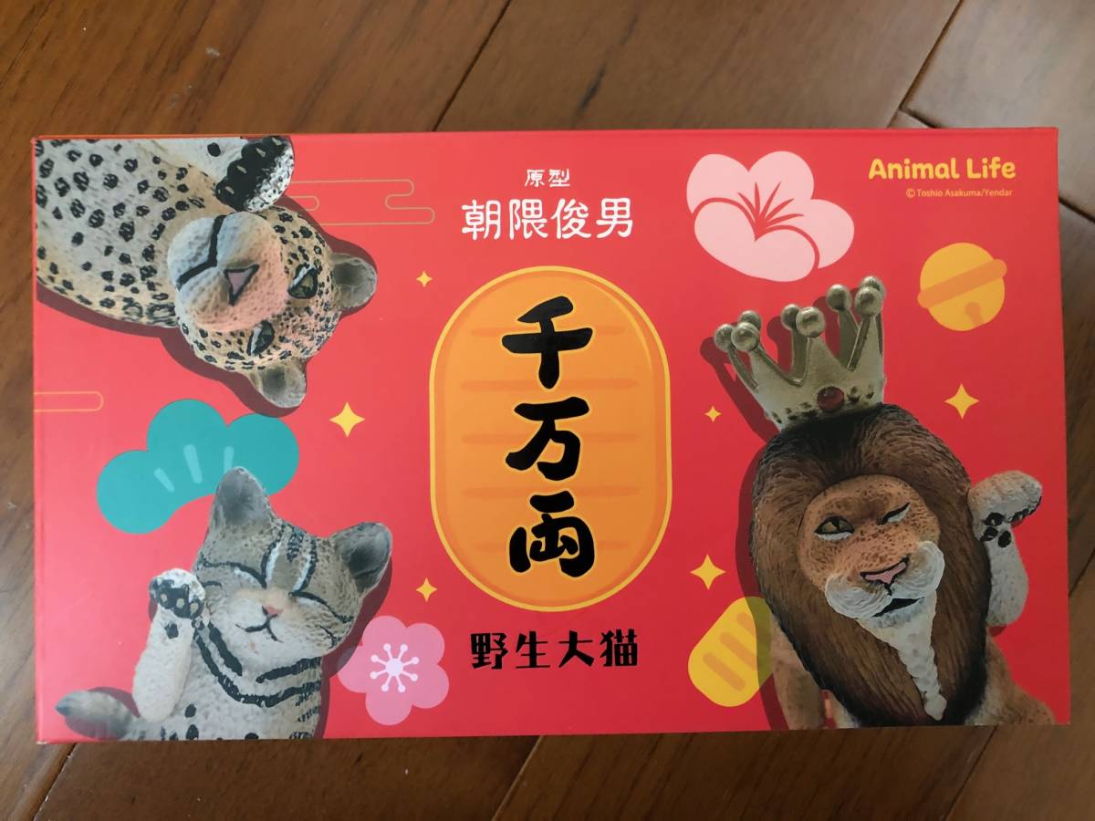 朝隈俊男 Animal Life 招き猫 野生ネコ シリーズ第2弾