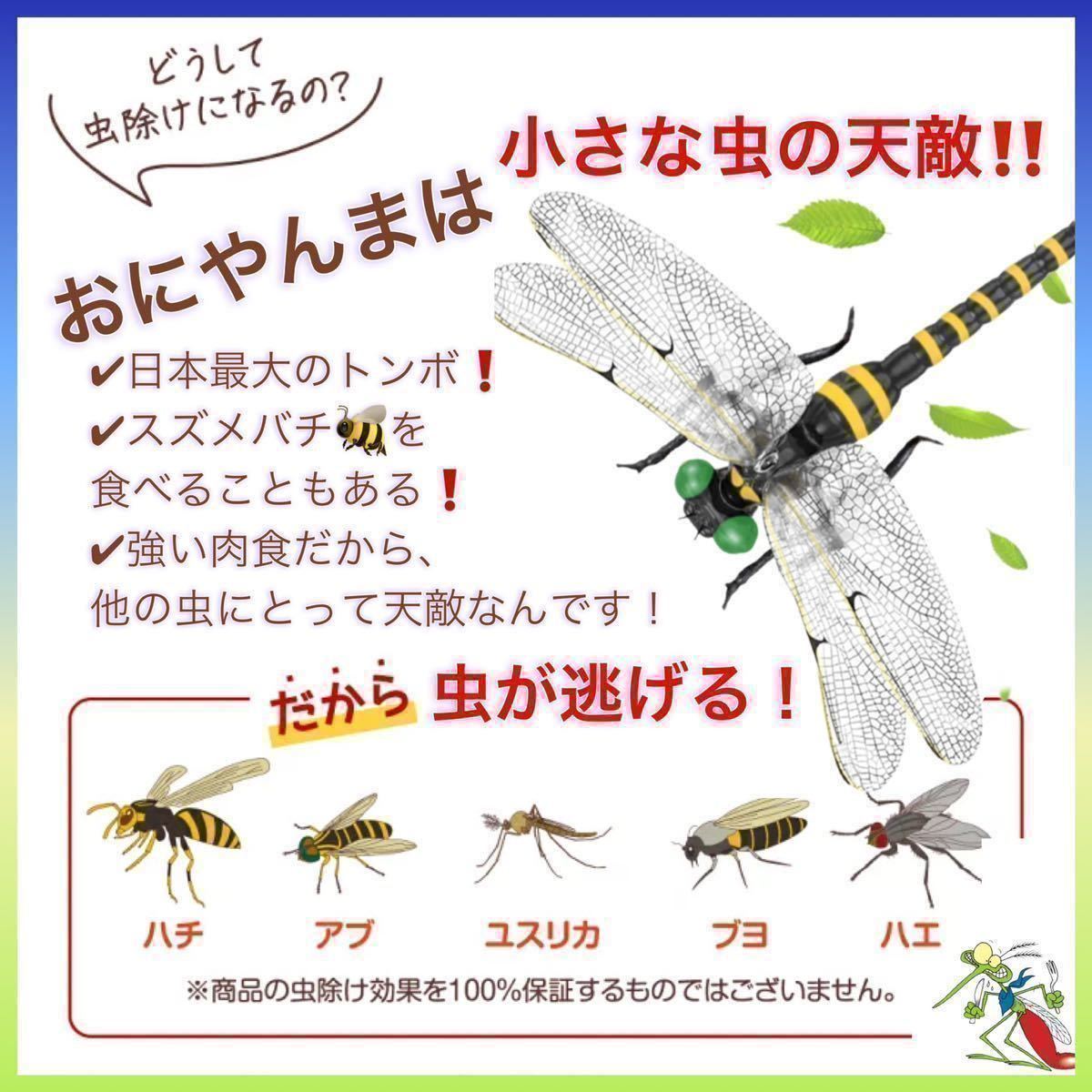 12cm★虫除けトンボ 虫よけ オニヤンマ おにやんま 実物大 ゴルフ ラウンド ブローチ 昆虫 釣り キャンプ アウトドア 害虫駆除君　12センチ_画像3