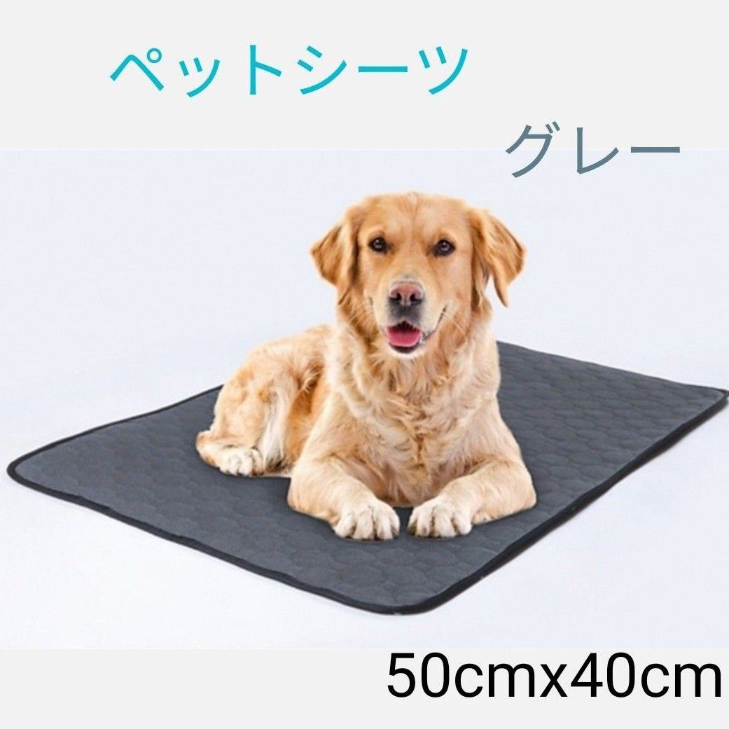 犬猫 ペット用トイレシート 吸水マット 滑り止め グレー 50cm ×40cm 