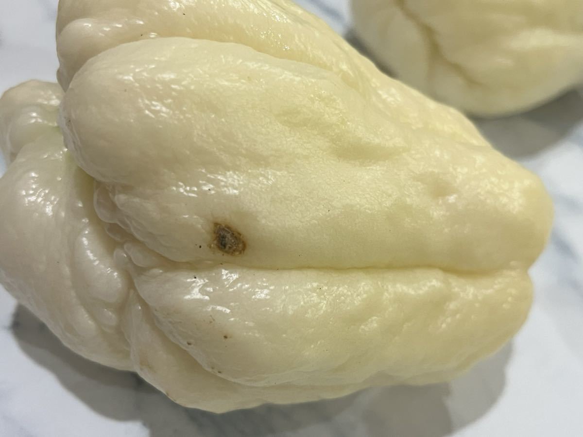種芋向け 大きめ東京都産 白 ハヤトウリ ホワイトはやとうり 隼人瓜 農薬不使用_画像4