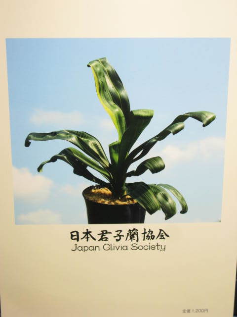 日本君子蘭協会の写真集（日本の君子蘭）B5版112ページ_画像2