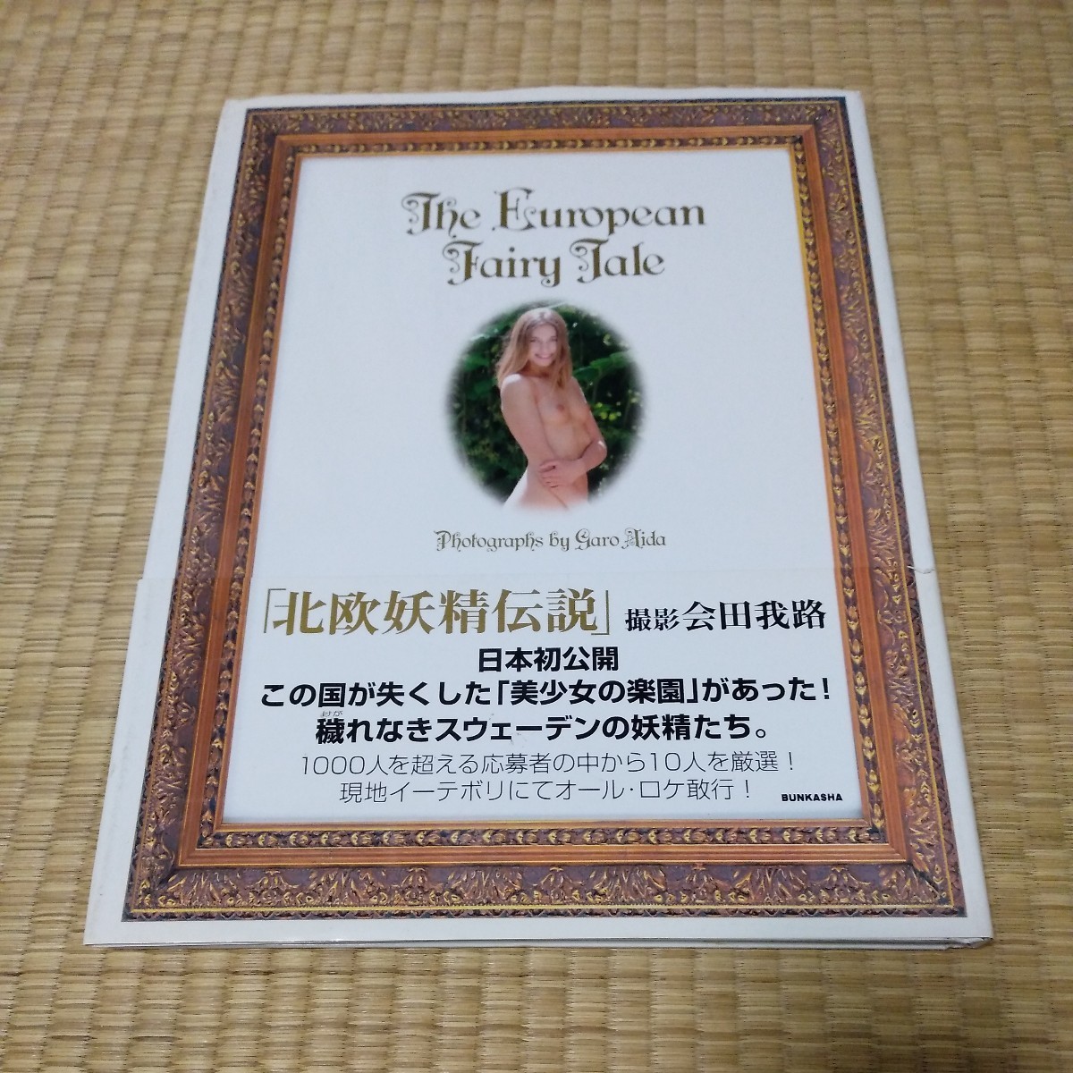 the european fairy tale 会田我路　北欧妖精伝説　スウェーデン　aygma27150さま専用_画像1