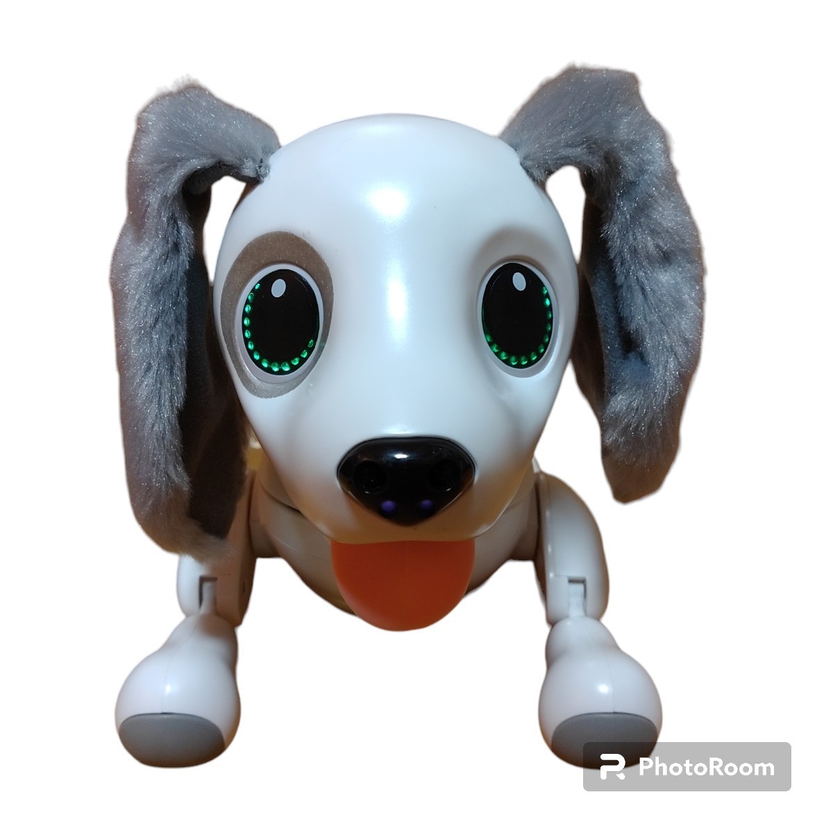 タカラトミー オムニボット ハローズーマー ミニチュアダックス タカラトミー オムニボット ハローズーマー ミニチュアダックス