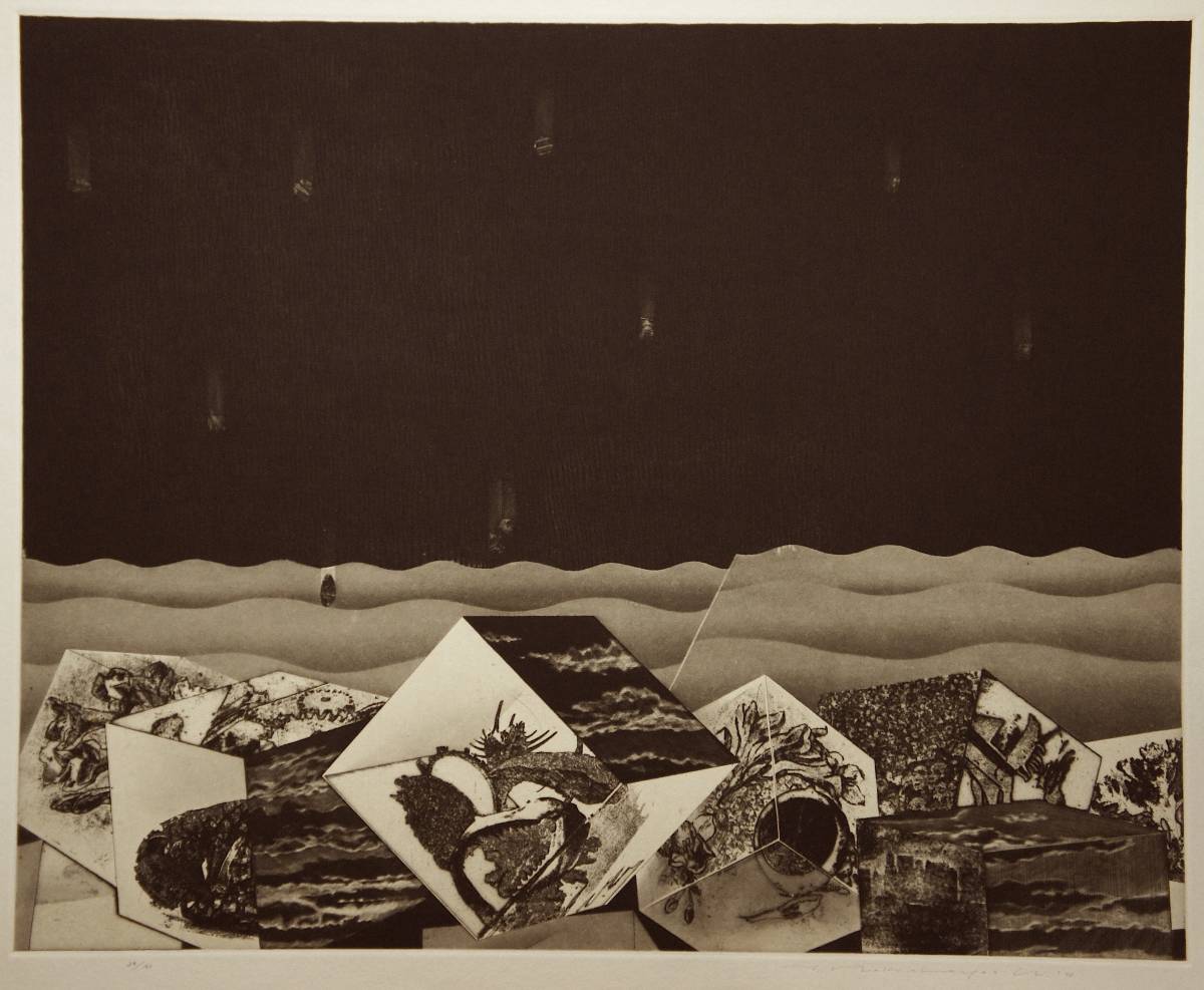 Yahoo!オークション - ２７ 中林忠良「囚われる風景Ⅲ」１９７３年 銅版画