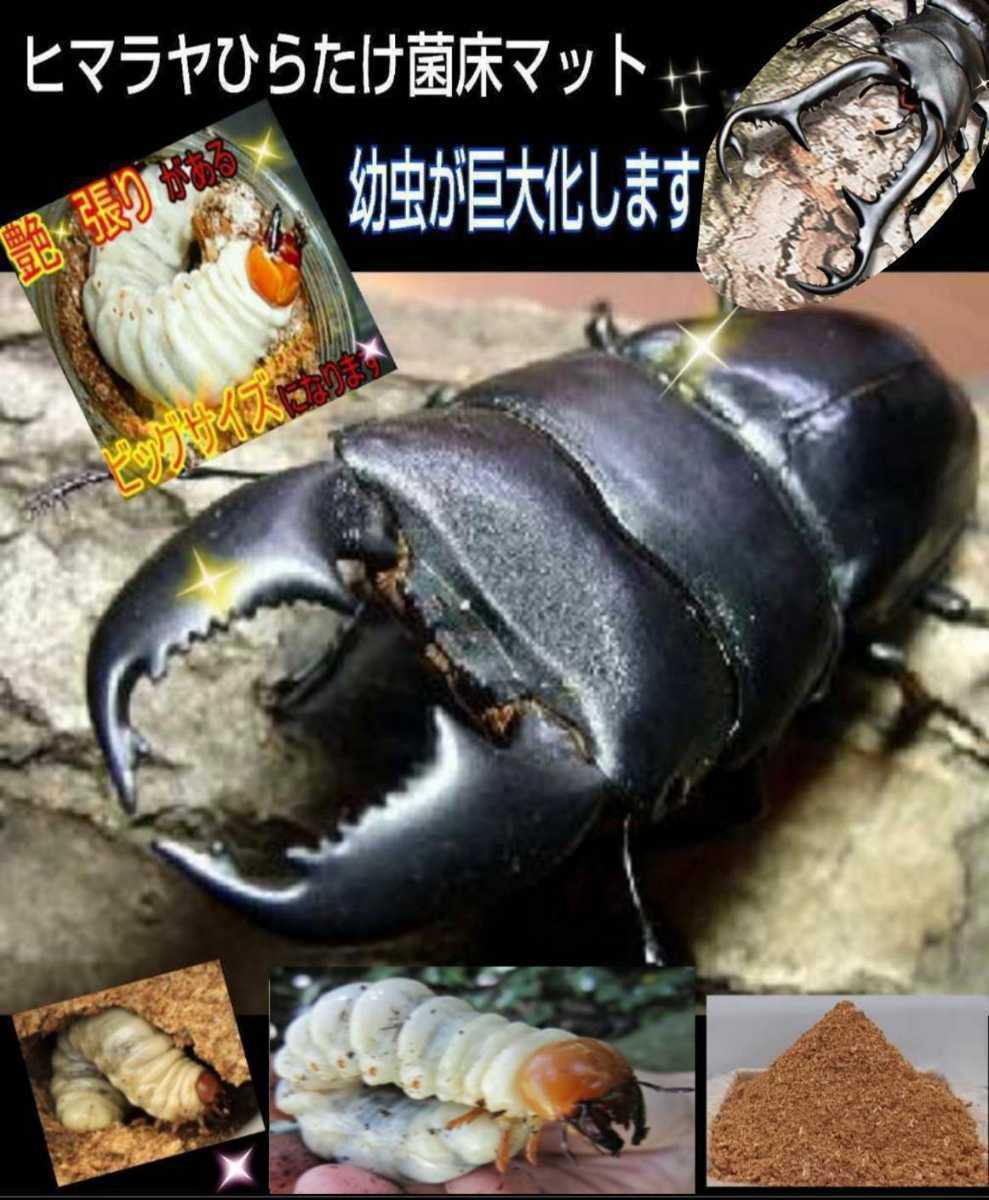 item_image_10