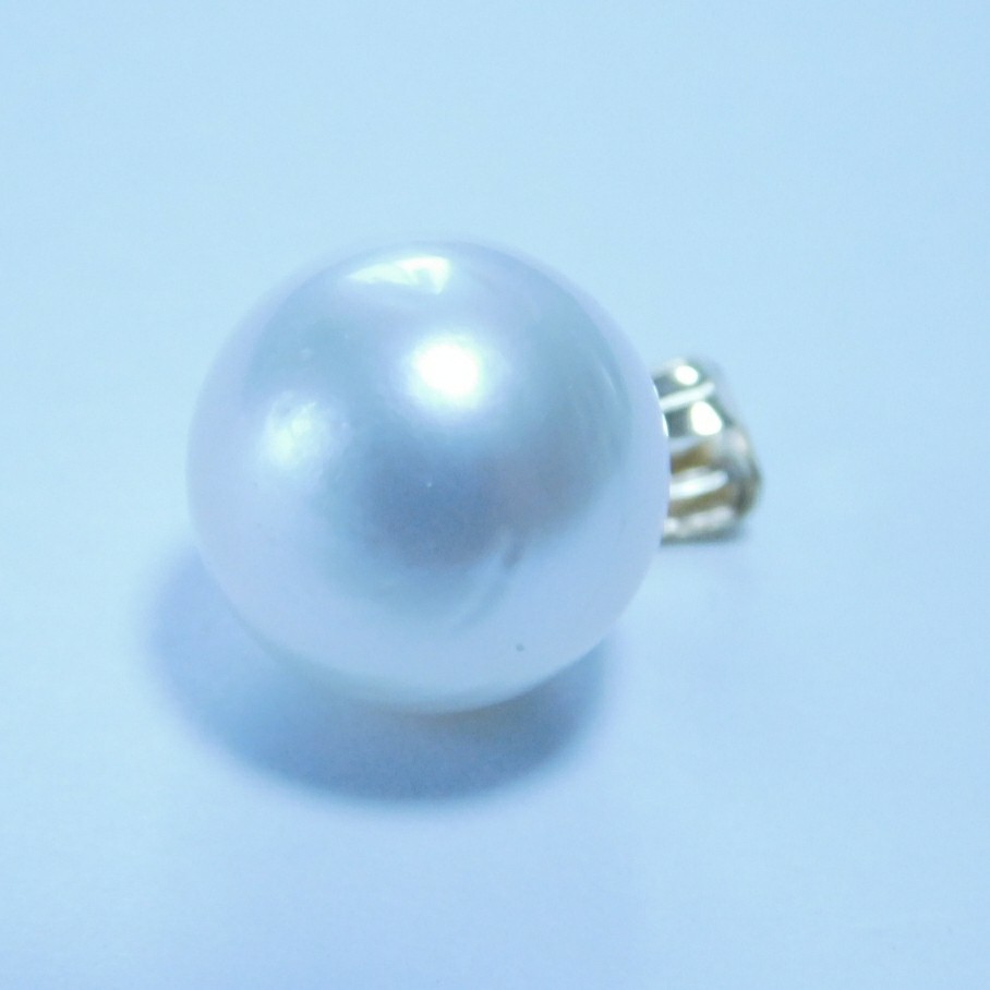 K18 south . White Butterfly pearl 11.0mm pendant top 