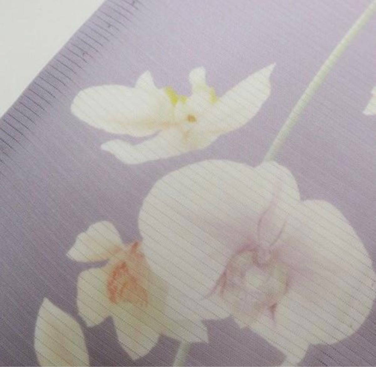夏の訪問着・正絹、絽：上品華やかな蘭のピンク薄紫