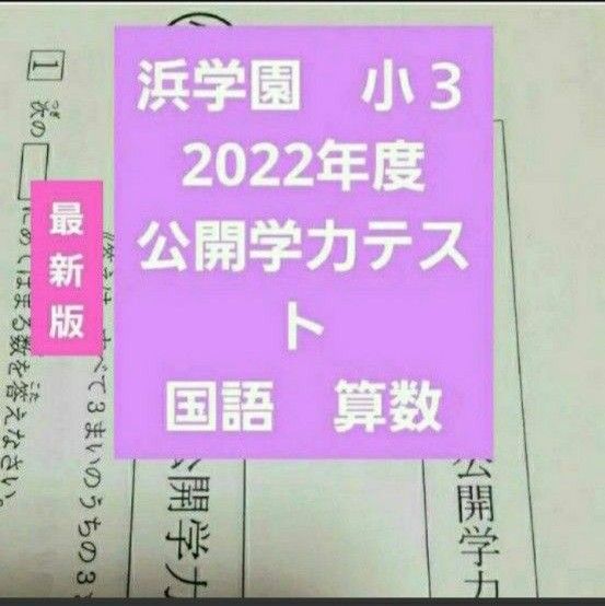 浜学園　小３　2022年度　公開学力テスト　最新版　未記入　１年分　国語算数