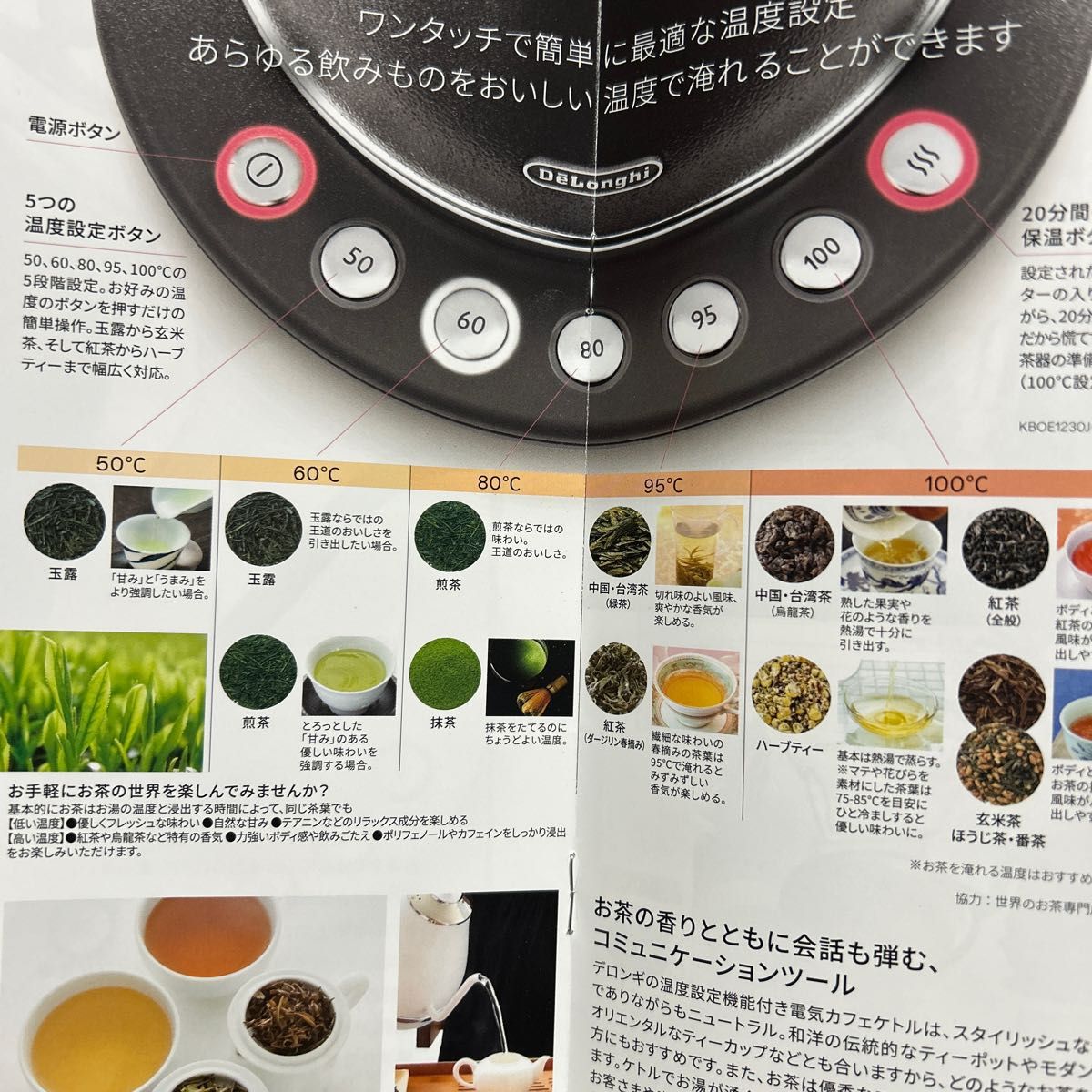 アイコナ 温度設定機能付き電気カフェケトル 