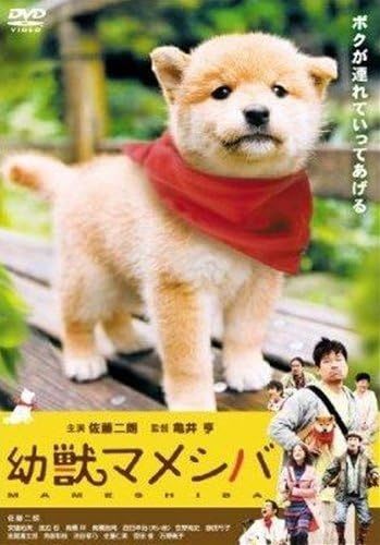 【中古】[D-51] DVD 映画版 幼獣マメシバ [レンタル落ち] 佐藤二朗 笹野高史 安達祐実 ※ケースなし※ 送料無料_画像1