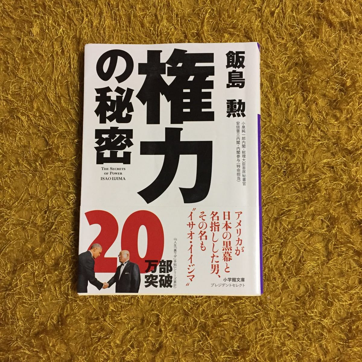 権力の秘密/飯島勲★政治 社会 思想 外交 国家 知恵 小泉純一郎 総理大臣首席秘書官 安倍晋三 内閣参与 ビジネス メディア 領事 危機管理_画像1