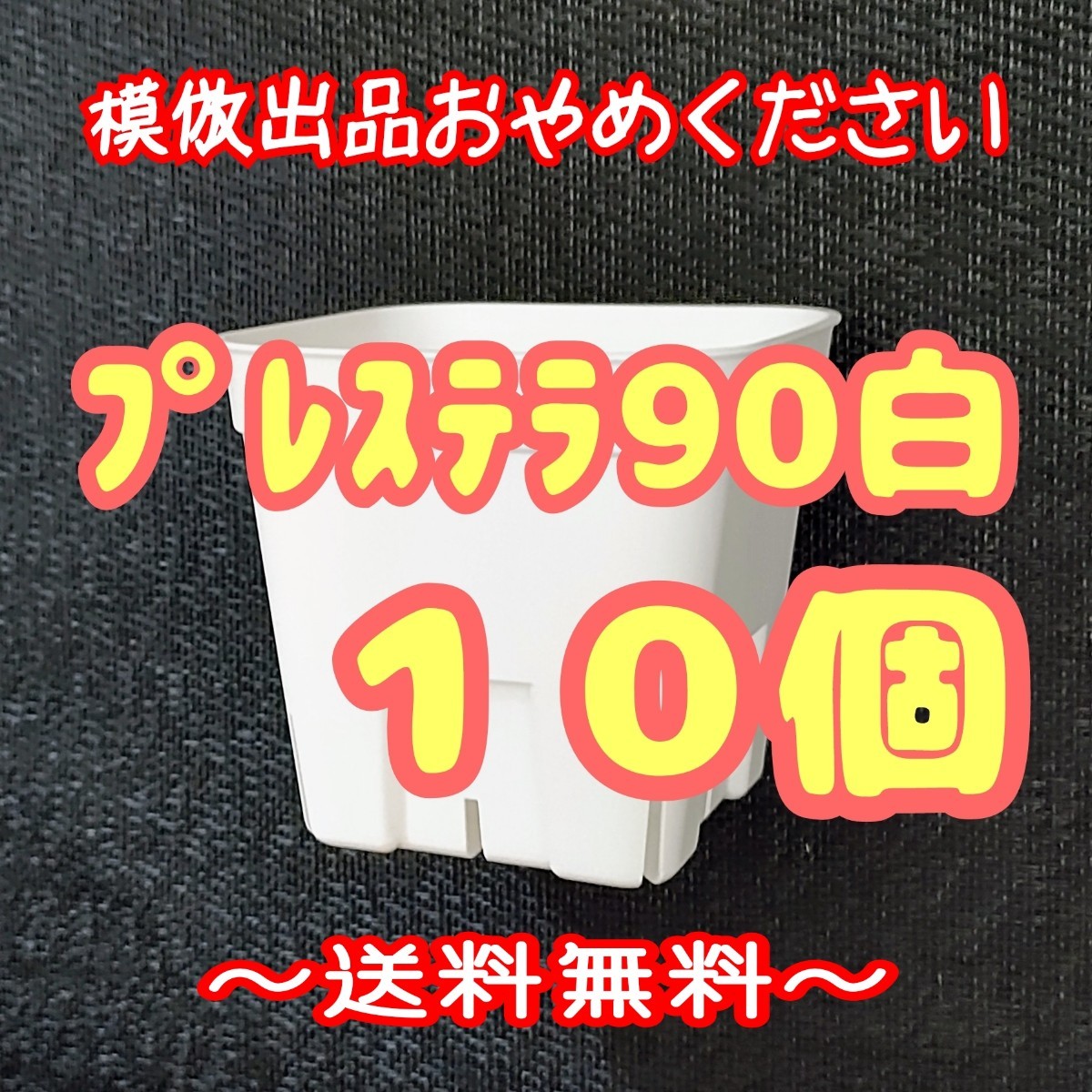 ◆送料無料◆【スリット鉢】プレステラ90白10個 多肉植物 プラ鉢 3号鉢 相当_画像1