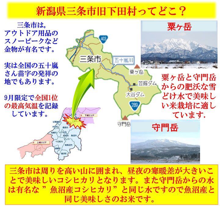 令和5年産新米　新潟産ミルキークイーン白米10kg 新潟県三条市旧しただ村産　冷めてもモチモチ美味しいミルキーをおにぎりやお弁当に？_画像2