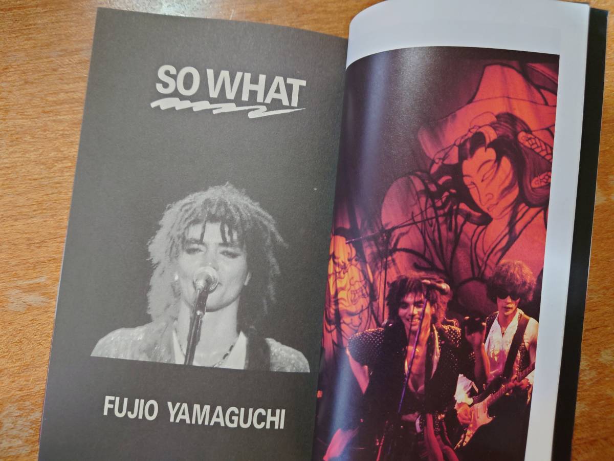 【即決】山口冨士夫「SO WHAT」宝島コレクション/1990年初版■ダイナマイツ/村八分/TEARDROPS■大野祥之_画像6