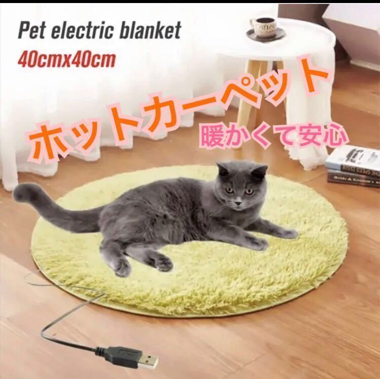 あったかペット用ホットカーペット ペット用 ペット電気毛布 犬 猫 電熱ヒーター犬猫 USB使用　グリーン_画像1