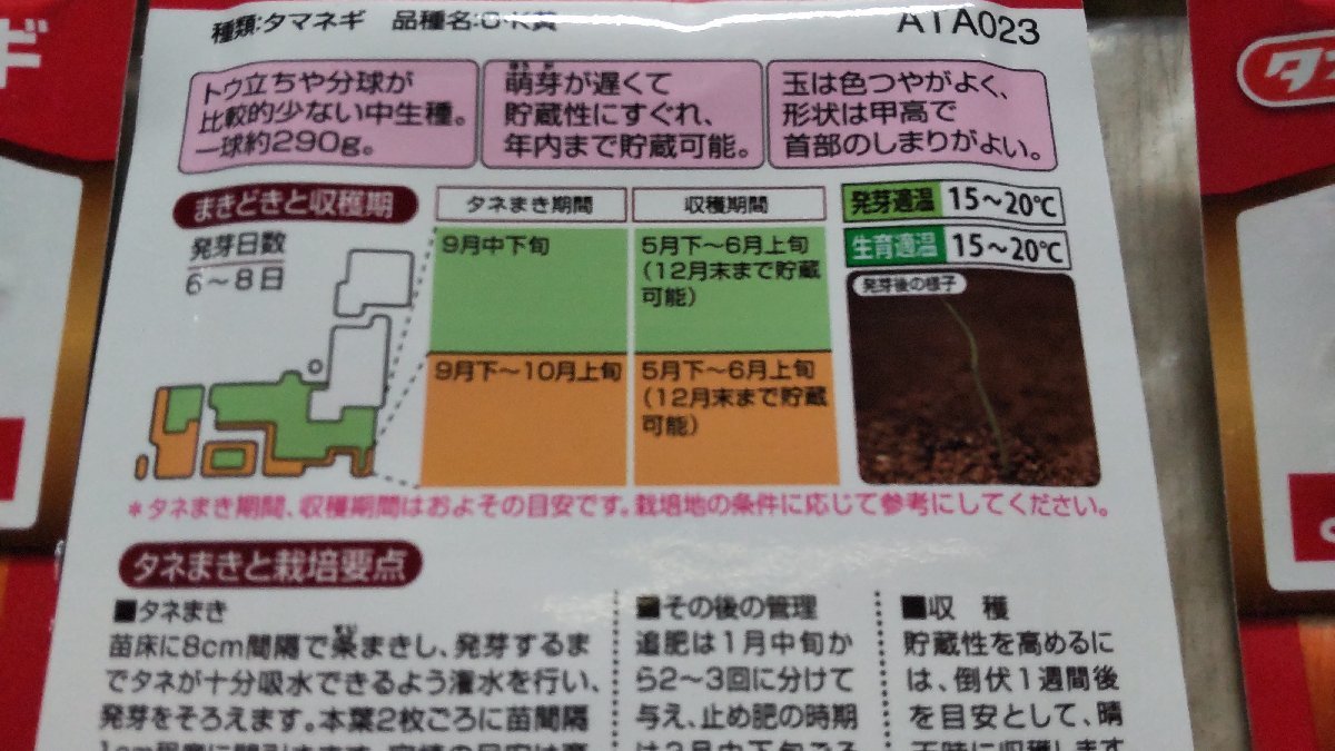 OK黄 O・K黄 オーケー 玉ねぎ タマネギ 種子 合計６袋セット 3828円分 郵便は送料無料_画像3