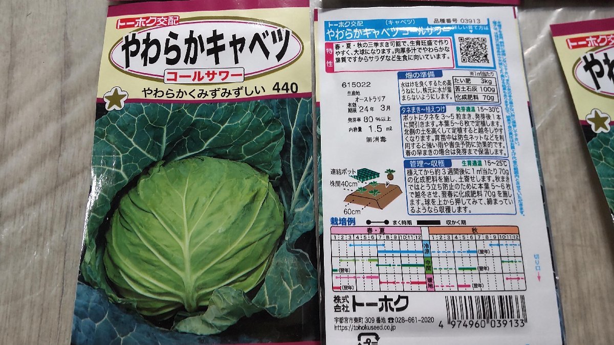 やわらか キャベツ コールサワー 種子 合計６袋セット 2640円分 郵便は送料無料_画像2