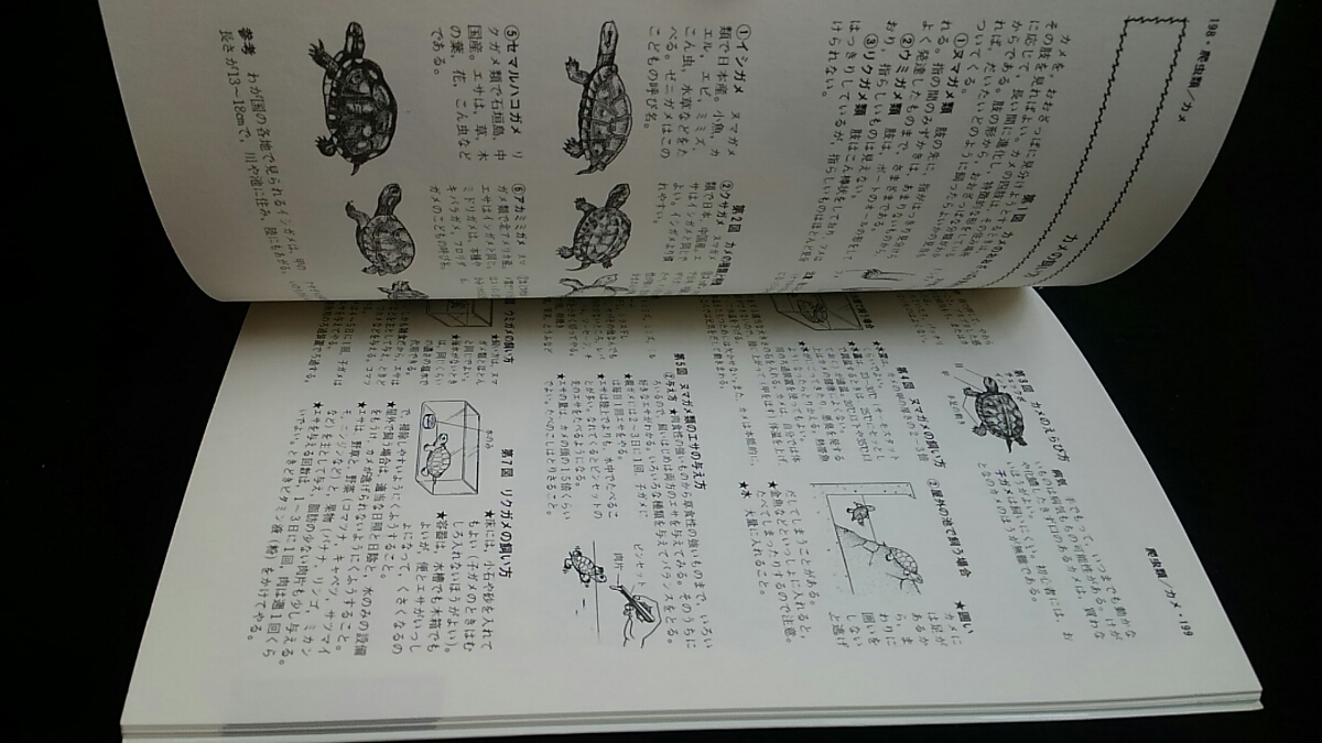 完全図解　生きものの飼い方全書　採集　エサ　飼育　病気の診断と治療　犬　ネコ　ウサギ　インコ　カブトムシ　金魚　鯉　亀　トカゲ　_画像10