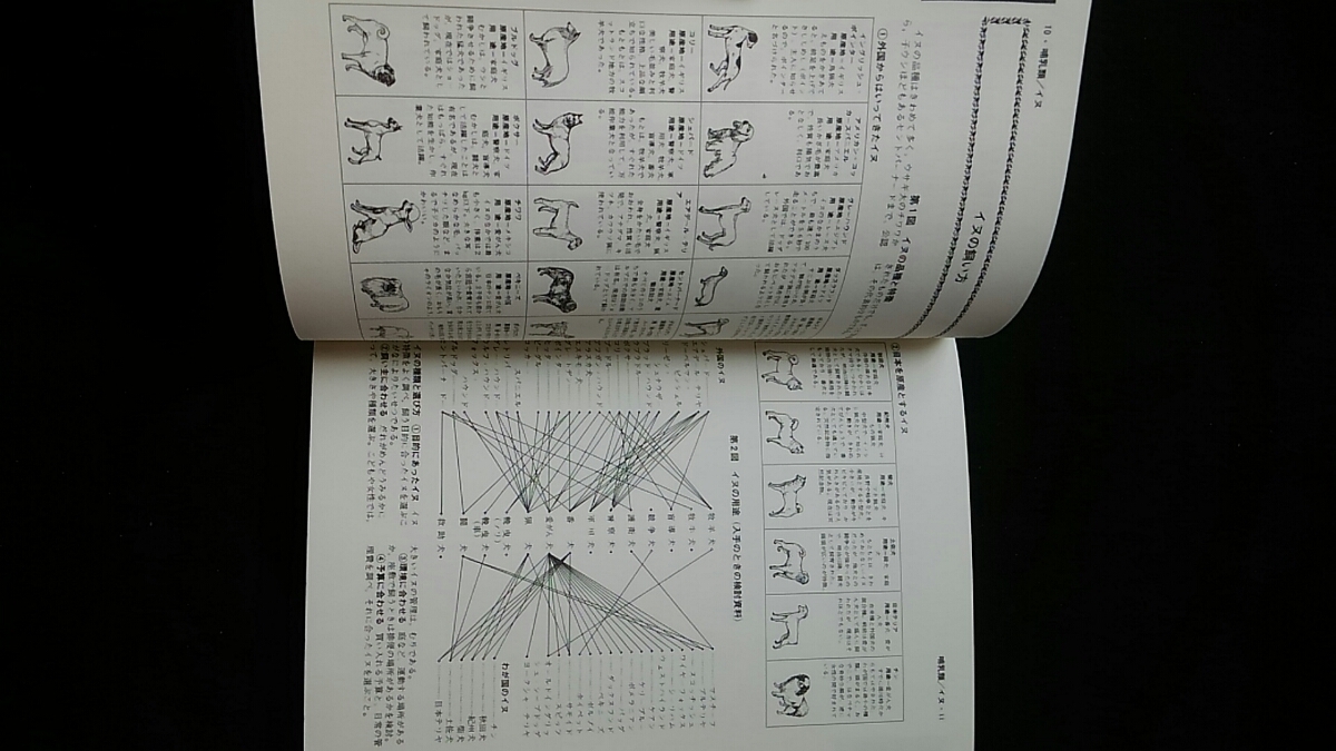 完全図解 生きものの飼い方全書 採集 エサ 飼育 病気の診断と治療 犬 完全図解 生きものの飼い方全書 採集 エサ 飼育 病気の診断と治療 犬