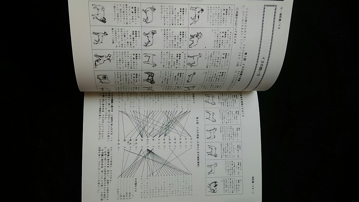 完全図解　生きものの飼い方全書　採集　エサ　飼育　病気の診断と治療　犬　ネコ　ウサギ　インコ　カブトムシ　金魚　鯉　亀　トカゲ　_画像4