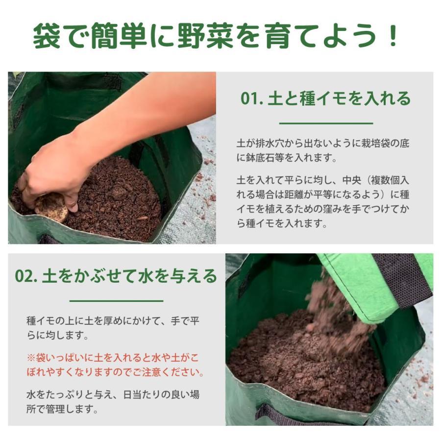  cultivation sack 11L green PE material steering wheel attaching .. window vegetable cultivation bag garden cultivation sack planter garden gardening veranda plant rearing plant pot 