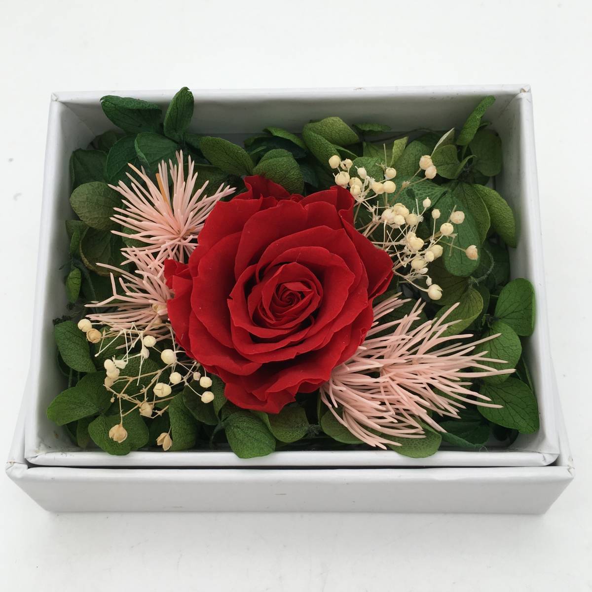 < новый товар > консервированный цветок box организовать ручная работа роза rose гортензия гипсофила украшение .. праздник подарок подарок 