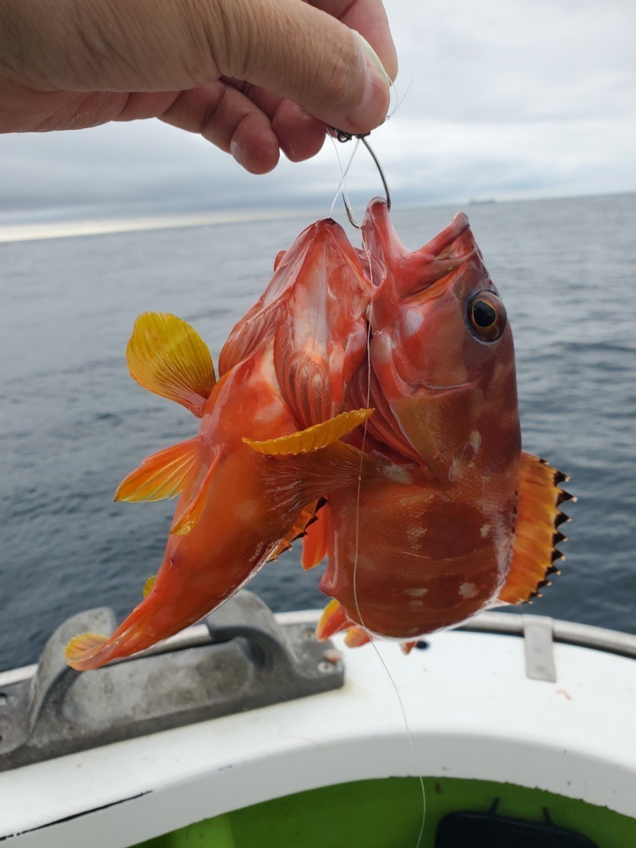 ★②新品未使用品 テンヤ 8号 5個/セット ひとつテンヤ 根魚テンヤに最適 マダイ 青物 根魚 アカハタ カサゴ アイナメ★_画像5