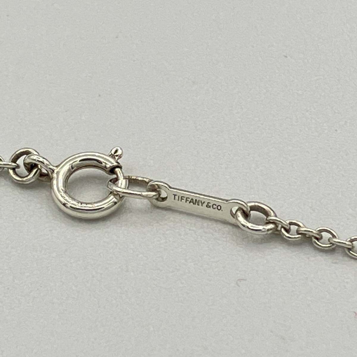 希少品 ティファニー ラージ アップル ビンテージ ネックレス 希少品 ティファニー ラージ アップル ビンテージ ネックレス