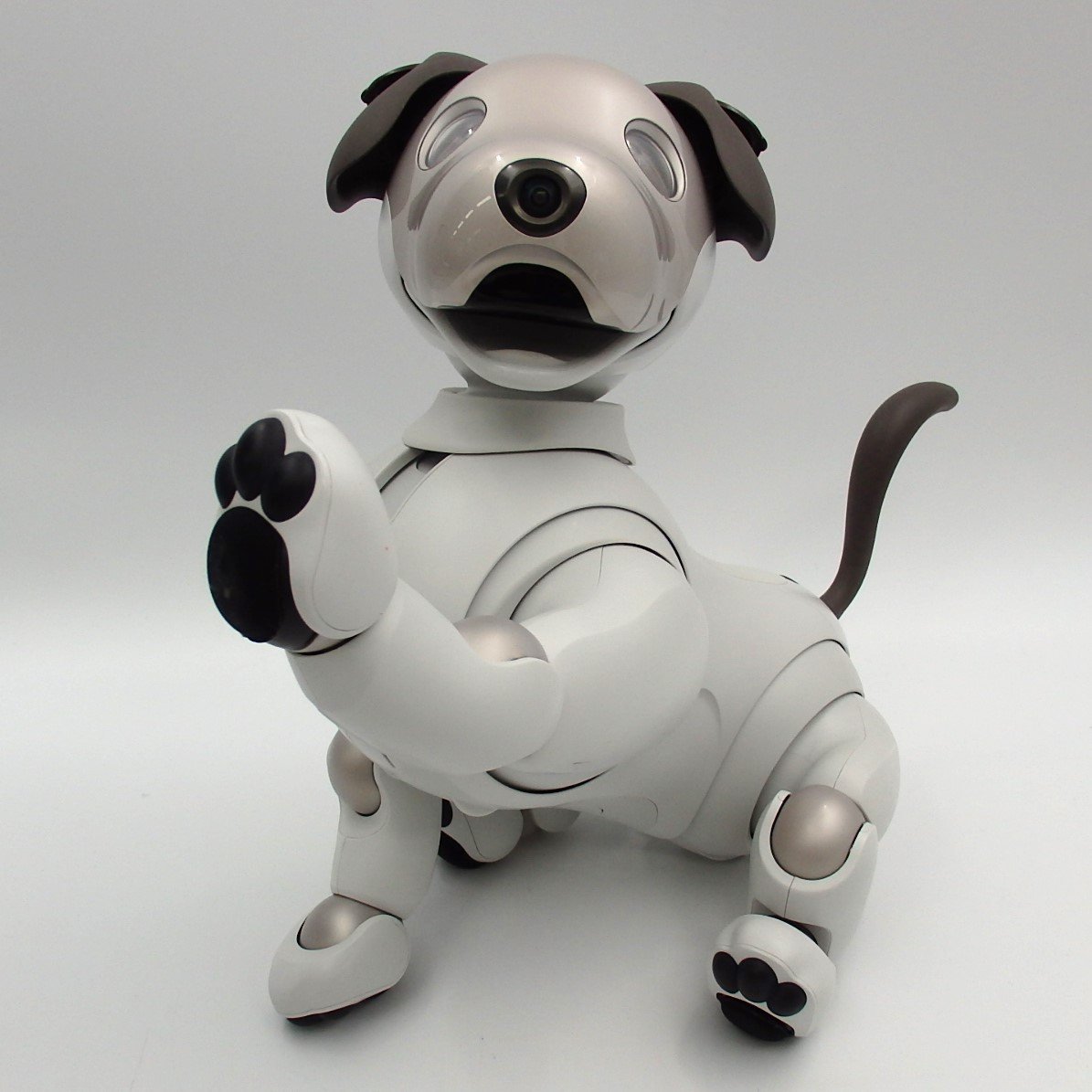 1円～ SONY ソニー aibo ERS-1000 エンタテイメントロボット 箱付 初期化・動作確認済 現状品 ※同梱不可 y166-2273389【Y商品】_画像4