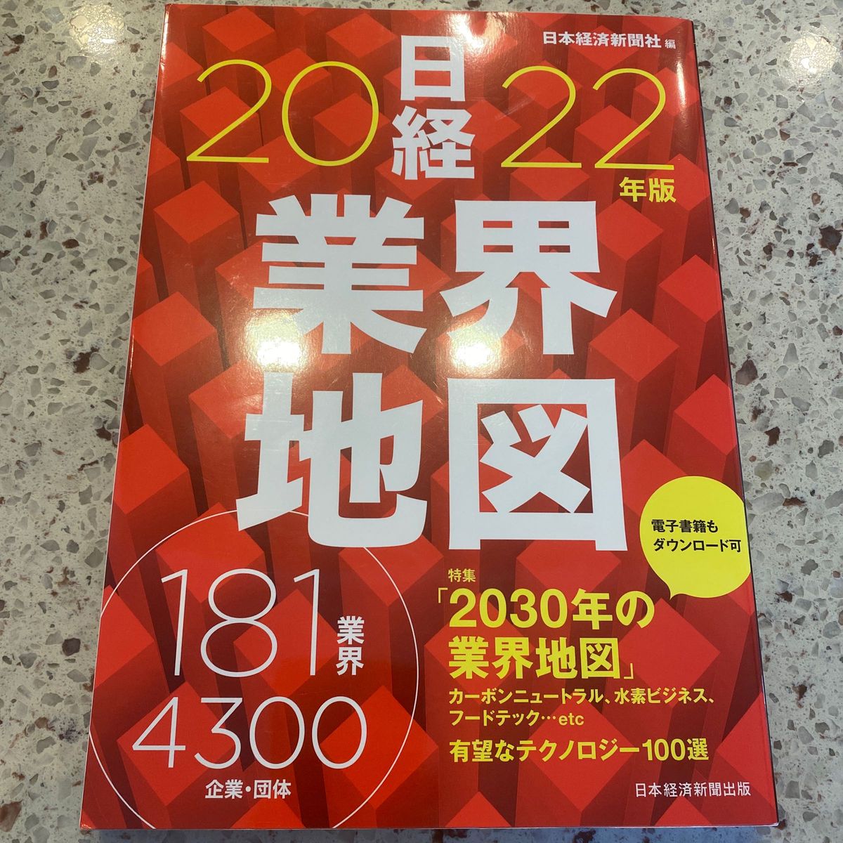 日経業界地図　２０２２年版 日本経済新聞社／編
