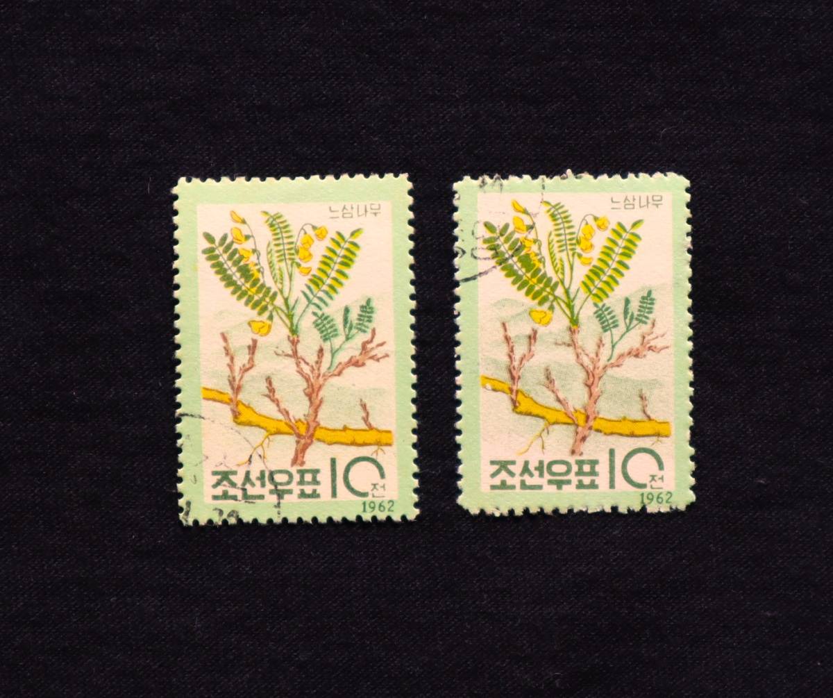 W40　北朝鮮　1962　DPR KOREA　1種　単片切手2枚　消印有り_画像2