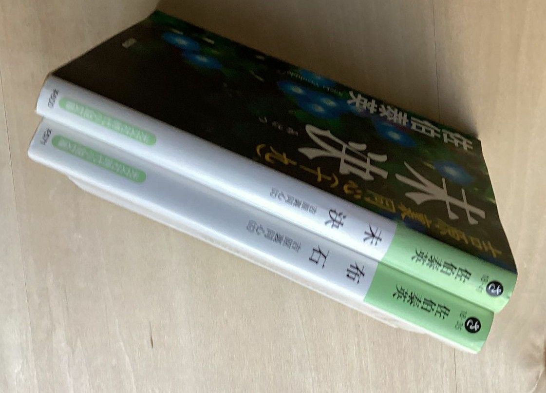 布石（吉原裏同心　１３）／ 未決　文庫書下ろし／長編時代小説 （光文社文庫　さ１８－４１　吉原裏同心　１９） 佐伯泰英／著