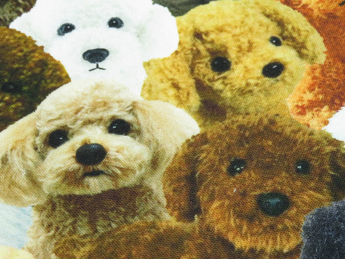 １ｍ単位切り売り(DG-01) デジタル プリント トイプードル 犬 トイプ ぬいぐるみ オックス 生地 布 布地 動物 アニマル かわいい リアル_画像4