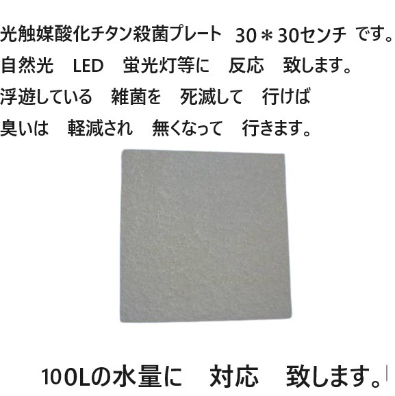 臭い亀　金魚　メダカ　対応 強力殺菌し　臭いを　軽減　光觸媒酸化チタン殺菌プレート 　20＊20センチ　　13