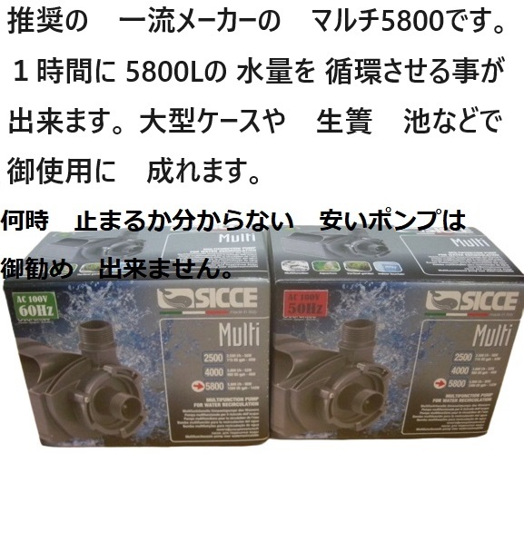 池 生簀 大型ケース対応 沈殿槽BOX 搭載 サンドフィルター 4 池 生簀 大型ケース対応 沈殿槽BOX 搭載 サンドフィルター 4