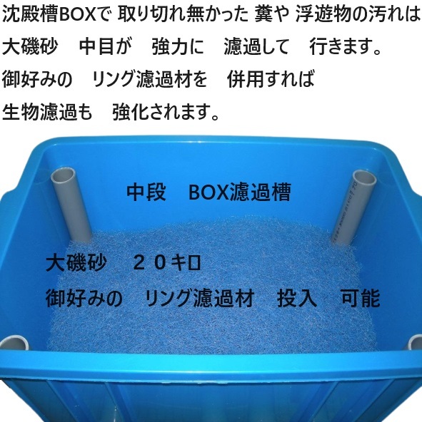池 生簀 大型ケース対応 沈殿槽BOX 搭載 サンドフィルター 4 池 生簀 大型ケース対応 沈殿槽BOX 搭載 サンドフィルター 4