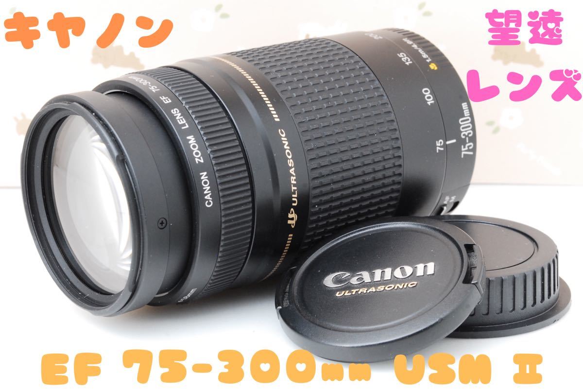 望遠レンズ☆Canon EF 75-300mm F4.0-5.6 USM Ⅱ☆秋冬のお出かけやご