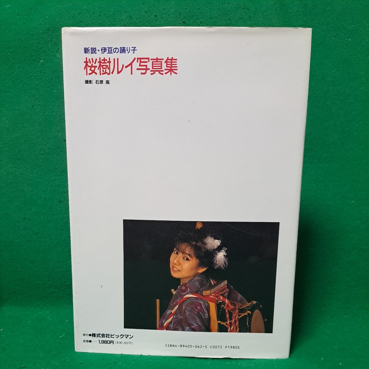 桜樹ルイ 写真集 新説・伊豆の踊り子 平成3年初版本 送料230円_画像3